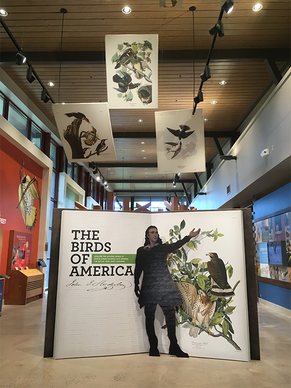 View of the Audubon Center from the entranceway, with a view of high ceilings and large window and a life size cutout of Audubon.