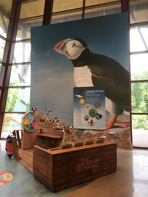 The puffin wall at the end of the Audubon Center, surrounded by windows.